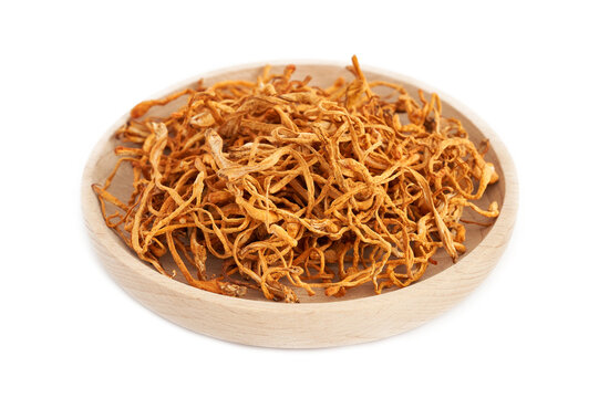 dry cordyceps militaris mushroom in wood plate isolated on white background. pile of dry cordyceps militaris mushroom isolated. dry cordyceps militaris mushroom isolated