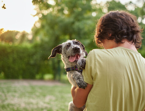 Outdoor portrait of boy with his adopted dog. Friendship of teenager with pet, boy walking in summer meadow, scenic sunset landscapes background. High quality photo