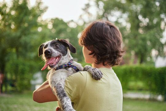 Outdoor portrait of boy with his adopted dog. Friendship of teenager with pet, boy walking in summer meadow, scenic sunset landscapes background. High quality photo