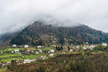Fototapeta premium Little village in the Adjarian mountain region