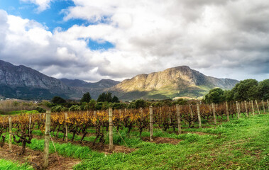 Franschhoek wineland area, South Africa