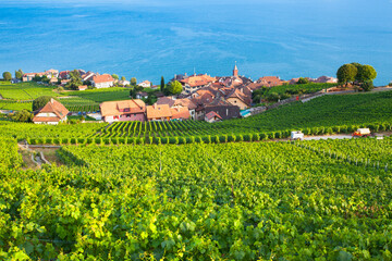 Fototapeta na wymiar Vineyards in Bourg-en-Lavaux over lake Leman