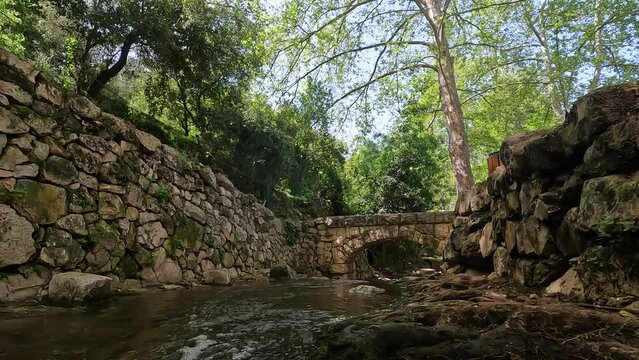 cold water flows in a small and ancient stream of clean water in the Ein Hamad nature reserve, at the entrance to Jerusalem - Israel.