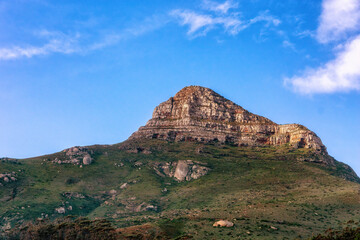 Fototapeta premium Lion Head Cape Town South Africa