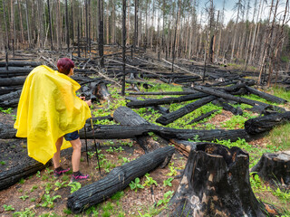 Woman in yellow raincoat visited the forest after the fire.