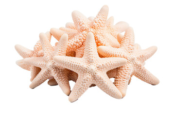 Smooth Star Coral on transparent background (PNG). Generative AI.