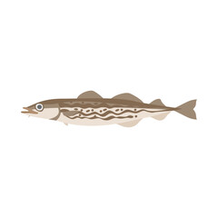 スケトウダラ（スケソウダラ）。フラットなベクターイラスト。
Alaska pollock. Flat designed vector illustration.