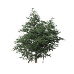bush isolate on a transparent background, 3D illustration, cg render
