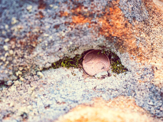 Two Euro cent coin in sandstone rock. Tossed coin