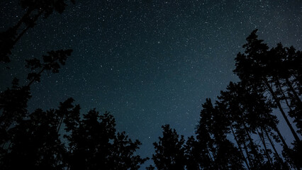 Fototapeta na wymiar Stars in night sky