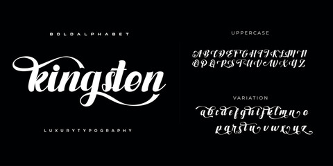 Elegant Font Uppercase Lowercase and Number. Classic Lettering Minimal Fashion Designs. Typography modern serif fonts regular decorative vintage concept. vector illustration.