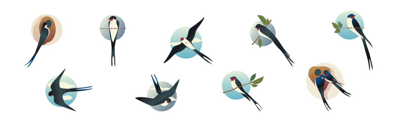 Swallow or Martin as Passerine Bird with Long Pointed Wings Vector Set