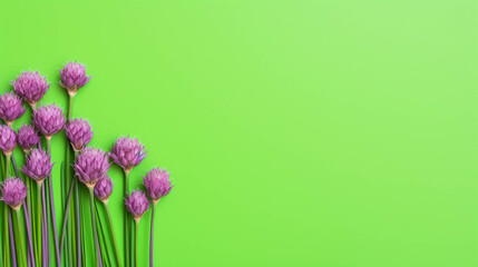 Chives On colorful background. Empty copy space on side. Generative AI.