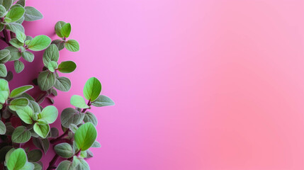 Marjoram On colorful background. Empty copy space on side. Generative AI.