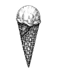 Mango ice cream in waffle sketch. Summer dessert vector illustration isolated on white background. Tropical ice cream drawing. Hand drawn sweet food design element