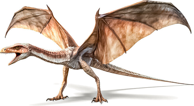 ディモルフォドンのイメージ - image of Dimorphodon - No2-2 Generative AI