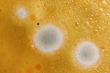 Mold colonies growing on chicken noodle soup.