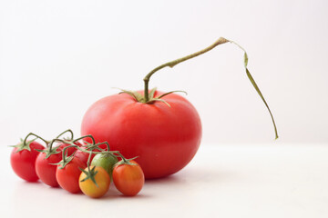 Unique tomato with a long stem surrounded by little cherry tomatoes.