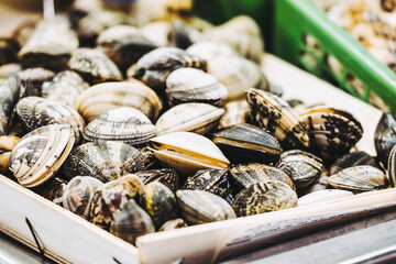 Coquillages frais sur un étal dans un marché couvert du Sud de la France