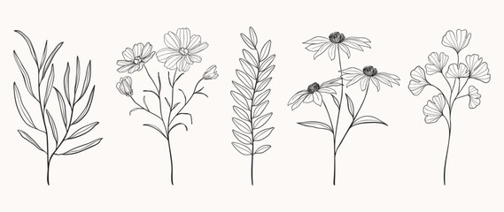 Set botanical hand drawn vector element. Collection of foliage, leaves branch, flower, floral, ginkgo leaf in line art. Autumn season blossom illustration design for logo, wedding, invitation, decor.