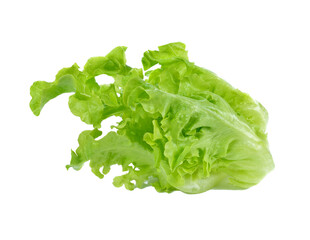 Lettuce Salad transparent png