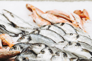Poisson frais sur un étal dans un marché couvert du Sud de la France