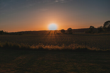 Sunset in the French fields in the countryside during summer