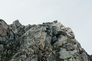 mountains 
