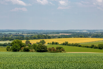 A view from the South Downs Way in Hampshire, on a sunny summer's day