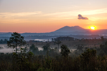 Beautiful and fertile forest landscape, winter During a foggy sunrise morning in Thung Salaeng Luang National Park, Thailand. Travel concept.