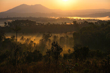 Beautiful and fertile forest landscape, winter During a foggy sunrise morning in Thung Salaeng Luang National Park, Thailand. Travel concept.