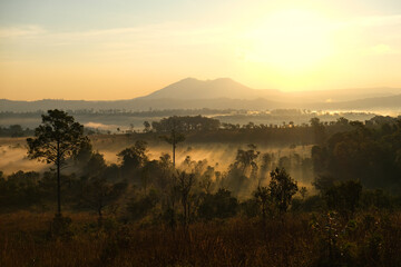 Beautiful and fertile forest landscape, winter During a foggy sunrise morning in Thung Salaeng Luang National Park, Thailand. Travel concept.