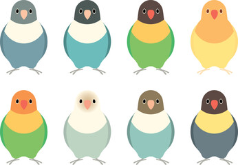 Fototapeta premium ボタンインコ セット