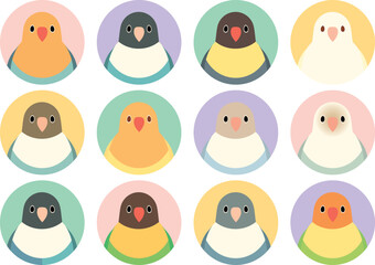 ボタンインコ　アイコン　セット