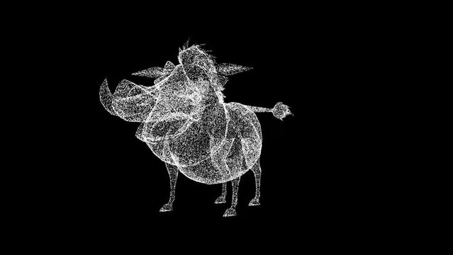 3D wild boar warthog rotates on black bg. Wild animals concept. Protection of the environment. For title, text, presentation. Object made of shimmering particles. 3d animation 60 FPS