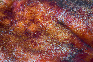 Freshly baked crispy suckling pork, a whole pig with crispy skin