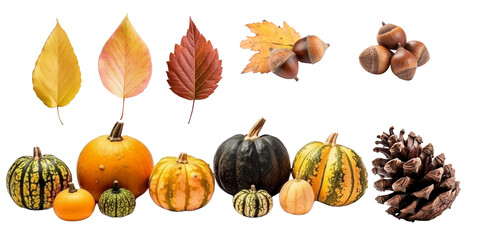 Set isolated on a transparent background of autumn plants and fruits. Generative AI.