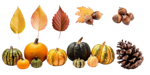 Set isolated on a transparent background of autumn plants and fruits. Generative AI.