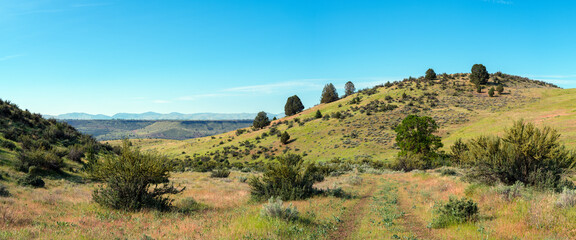 Panorama of the verdant rolling hills near Tygh Valley, Oregon, USA