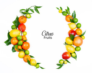 Citrus fruits isolated on white background