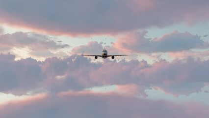 Airplane flying in the sky at sunset 3d animation