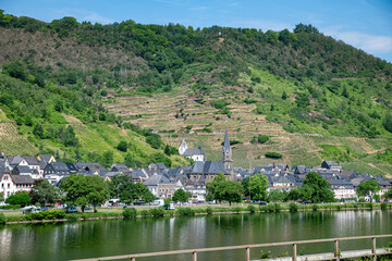 Obraz premium the river mosel in germany with the village saint aldegund