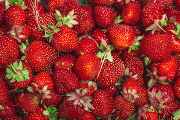 Strawberry background. Ripe fresh fruits, seasonal crop. Healthy superfood, vitamin