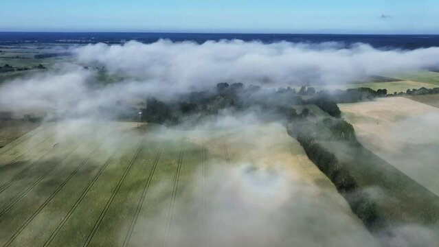 Drone flight over a foggy landscape, a rare weather phenomenon ringed glory appears on the surface of the fog. Saaremaa, Estonia.