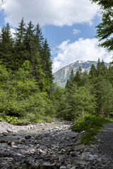 Obraz premium Dry river stream meandering through mountainous pine tree landscape in French Alps with rocky mountain in the background against a blue sky with clouds