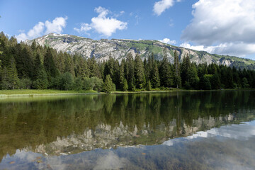 Naklejka premium French mountainous meltwater Gold Mines Lake near Morzine village with impressive rock formations rising above the pine tree forest along the still water reflecting the natural scene. Aerial nature