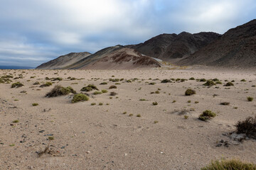 En route to El Peñon - wild nature in the Puna highlands in Argentina, South America