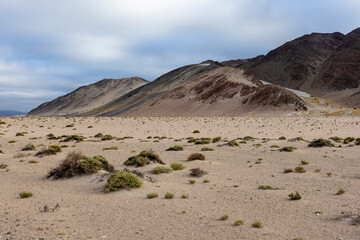 Fototapeta na wymiar En route to El Peñon - wild nature in the Puna highlands in Argentina, South America