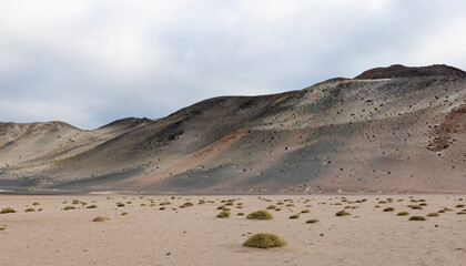 En route to El Peñon - wild nature in the Puna highlands in Argentina, South America
