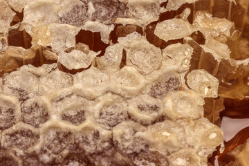 Sticky liquid honey natural geomatic hexagon honeycomb macro cluse up
